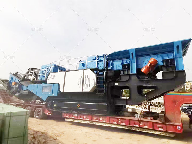 crusher plant project cost
