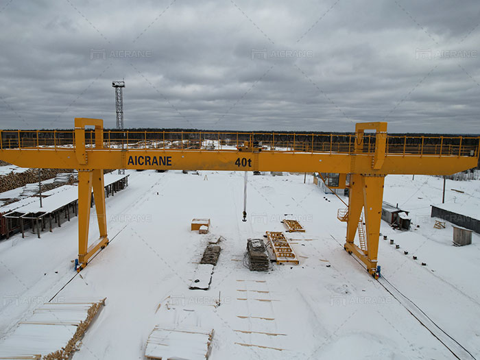 double girder gantry crane capacity